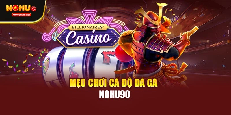 Mẹo chơi cá độ đá gà NOHU90