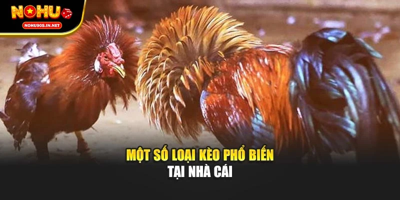 Một số loại kèo phổ biến tại nhà cái