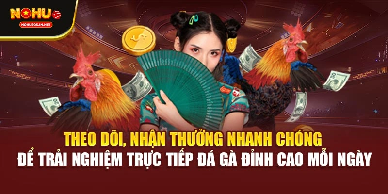 Theo dõi, nhận thưởng nhanh chóng để trải nghiệm trực tiếp đá gà đỉnh cao mỗi ngày